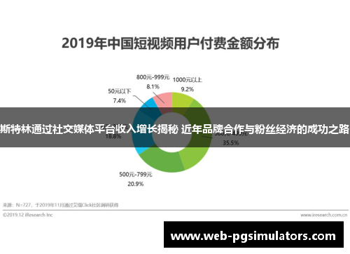 斯特林通过社交媒体平台收入增长揭秘 近年品牌合作与粉丝经济的成功之路