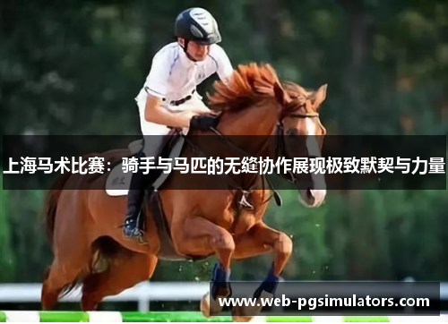 上海马术比赛：骑手与马匹的无缝协作展现极致默契与力量
