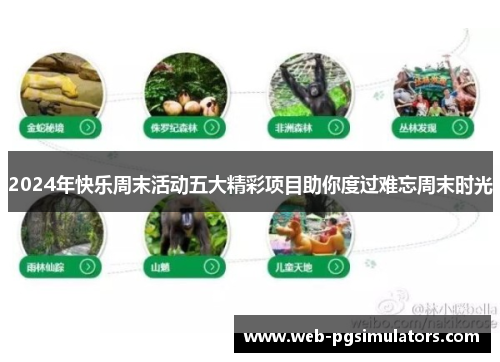 2024年快乐周末活动五大精彩项目助你度过难忘周末时光