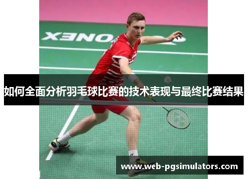 如何全面分析羽毛球比赛的技术表现与最终比赛结果