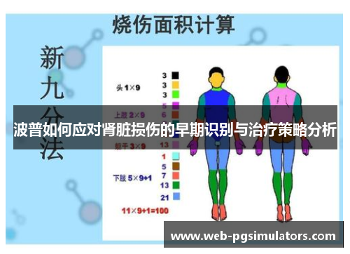 波普如何应对肾脏损伤的早期识别与治疗策略分析