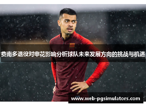 费南多退役对申花影响分析球队未来发展方向的挑战与机遇