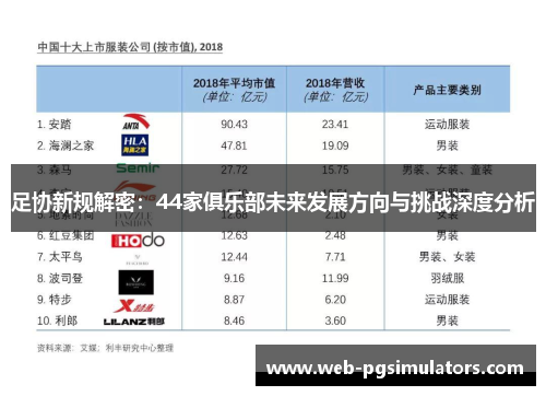 足协新规解密:44家俱乐部未来发展方向与挑战深度分析 足协新规解密:44家俱乐部未来发展方向与挑战深度分析