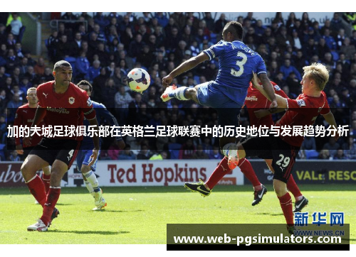 加的夫城足球俱乐部在英格兰足球联赛中的历史地位与发展趋势分析