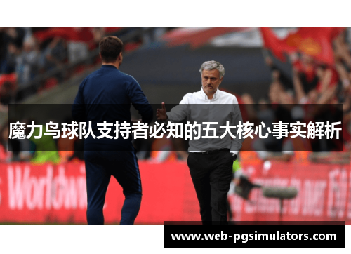 魔力鸟球队支持者必知的五大核心事实解析