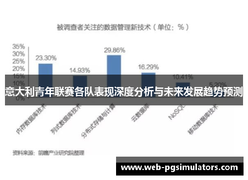 意大利青年联赛各队表现深度分析与未来发展趋势预测