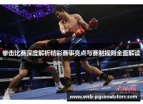 拳击比赛深度解析精彩赛事亮点与赛制规则全面解读
